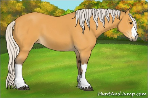 Horse Color:Silver Buckskin
