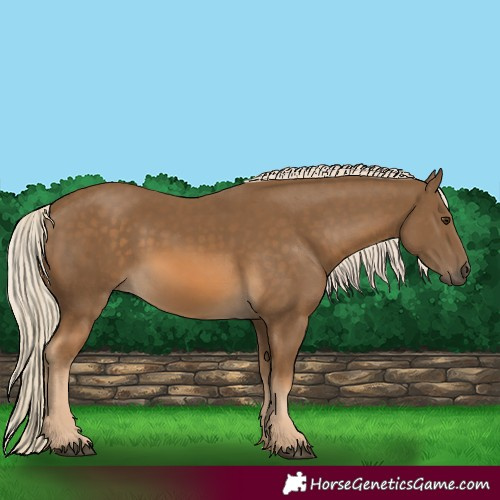 Horse Color:Chocolate Palomino 
