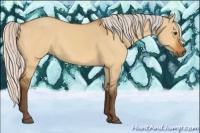 Horse Color:Silver Buckskin Dun