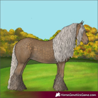 Horse Color:Silver Smoky Black 