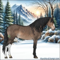 Horse Color:Brown Dun 