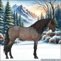 Horse Color:Brown Roan Rabicano and Buckskin Roan Rabicano