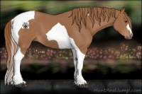 Horse Color:Chestnut Tobiano 