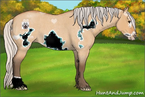 Horse Color:Silver Bay Roan Dun Frame