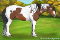Horse Color:Bay Tobiano 