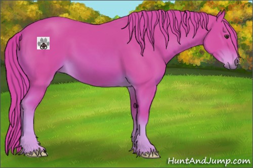 Horse Color:Watercolor Chestnut 