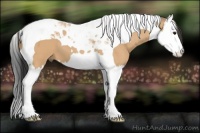 Horse Color:Bay Dun Splash Tobiano