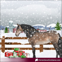 Horse Color:Brown Dun 