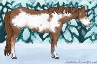 Horse Color:Chestnut Frame 