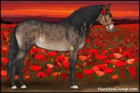 Horse Color:Brown Dun Brindle