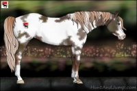 Horse Color:White Spotted Liver Chestnut Frame