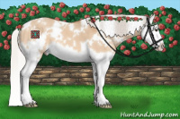 Horse Color:White Spotted Silver Bay Dun Splash