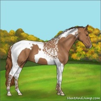 Horse Color:Chestnut Tobiano