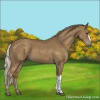 Horse Color:Silver Smoky Blue Roan 