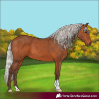 Horse Color:Silver Brown 