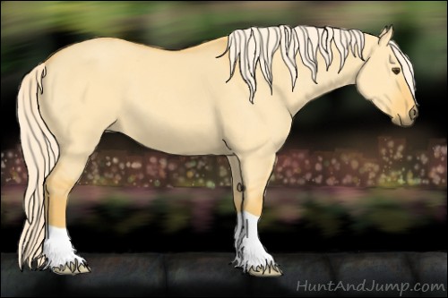 Horse Color:Palomino Dun