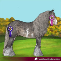 Horse Color:Silver Smoky Black Sabino 