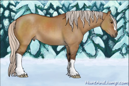 Horse Color:Silver Buckskin Dun 