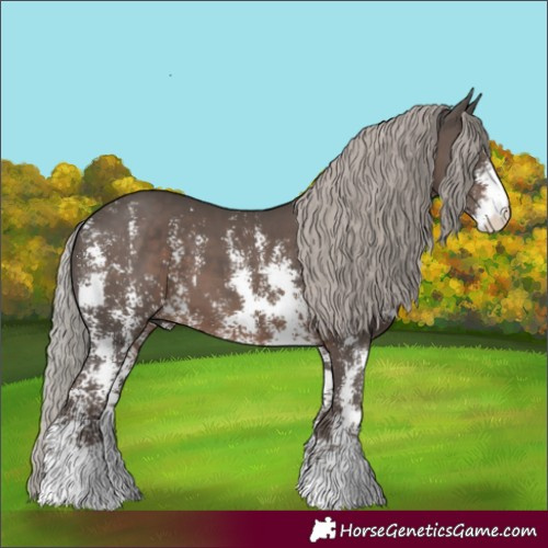 Horse Color:Silver Black Sabino 
