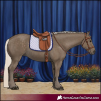 Horse Color:Silver Smoky Black 