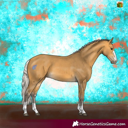 Horse Color:Silver Buckskin 