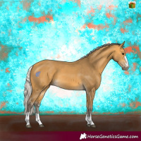 Horse Color:Silver Buckskin 