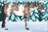 Horse Color:White Spotted Brown Roan Frame 