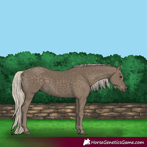 Horse Color:Silver Smoky Black 