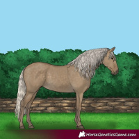 Horse Color:Silver Smoky Grullo 