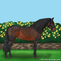 Horse Color:Brown 