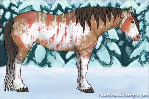 Horse Color:Buckskin Splash Frame  and Buckskin Splash Frame 