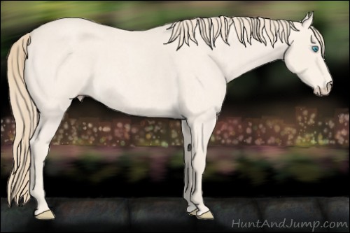Horse Color:Perlino Roan 
