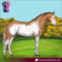 Horse Color:Chestnut Splash Frame  and Chestnut Splash Frame 