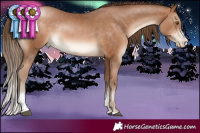 Horse Color:Brown Pearl Sabino