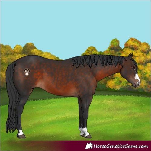 Horse Color:Brown 