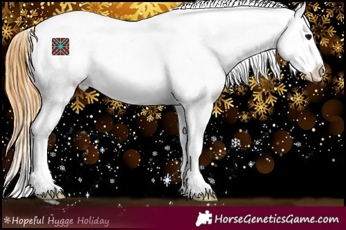 Horse Color:Smoky Grullo Splash Snowflake Varnish 