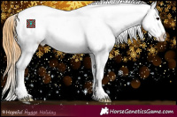 Horse Color:Smoky Grullo Splash Appaloosa 