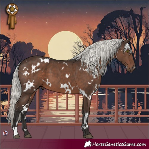 Horse Color:White Spotted Liver Chestnut Mushroom