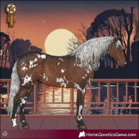 Horse Color:White Spotted Liver Chestnut Mushroom 