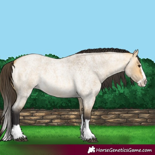 Horse Color:Buckskin Roan Dun Splash 