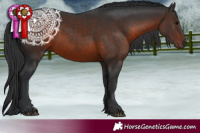 Horse Color:Brown 