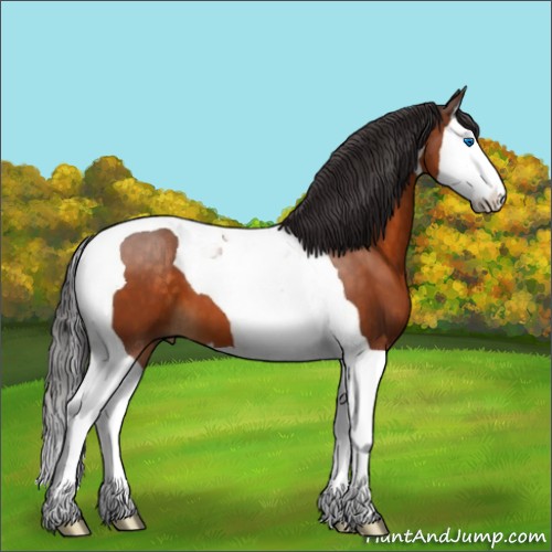 Horse Color:Buckskin Splash Tobiano 