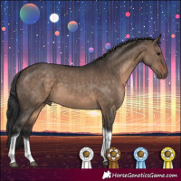 Horse Color:Brown Dun Tobiano 
