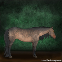 Horse Color:Brown Dun