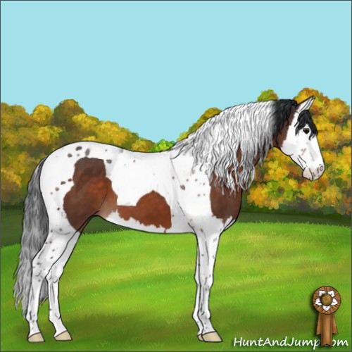 Horse Color:Brown Splash Tobiano 