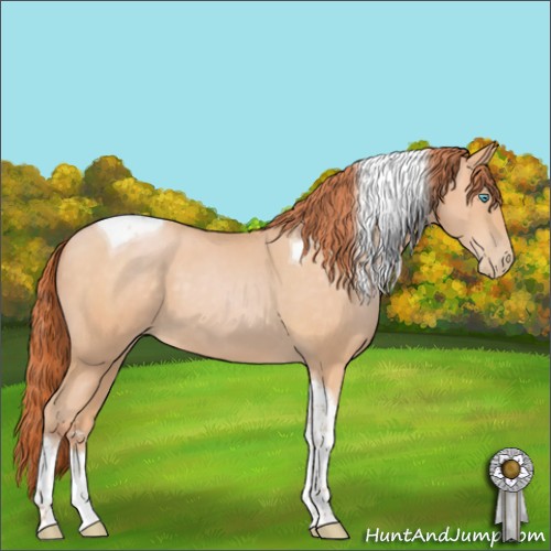 Horse Color:Buckskin Pearl Sabino Tobiano