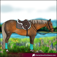 Horse Color:Chocolate Palomino 