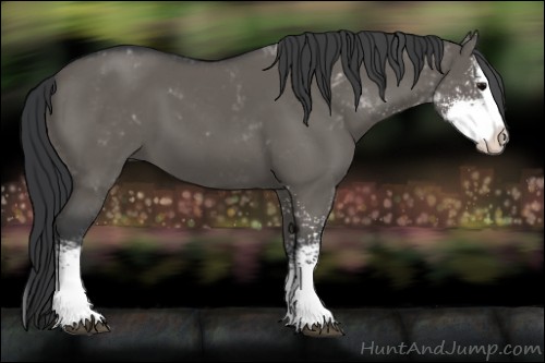 Horse Color:Grullo Sabino Splash
