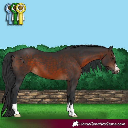 Horse Color:Brown 