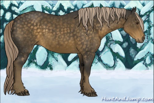 Horse Color:Chocolate Palomino 